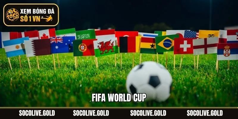 FIFA World Cup