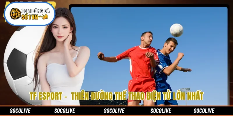 TF Esport